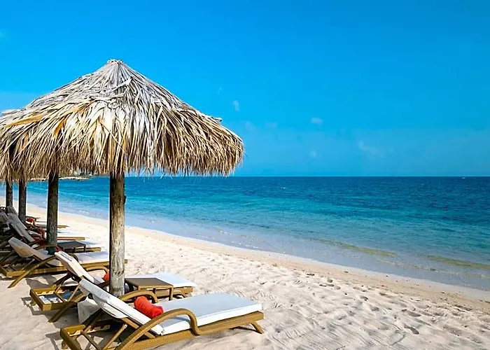 Joia Rose Hall By Iberostar Hotel 5*